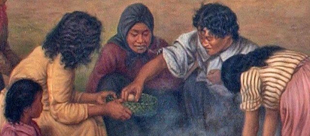 Image des iwi