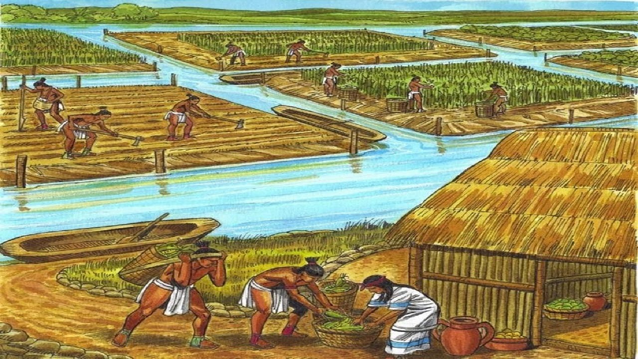 Image de l'agriculture